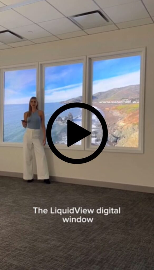 The LiquidView digital window video