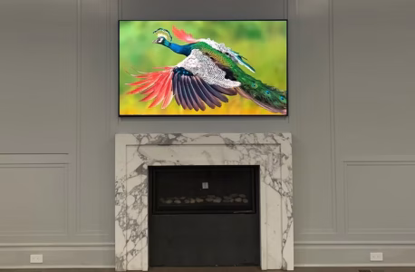 A TV above a marble fireplace displays an image of a flying peacock against a blurred green and yellow background.