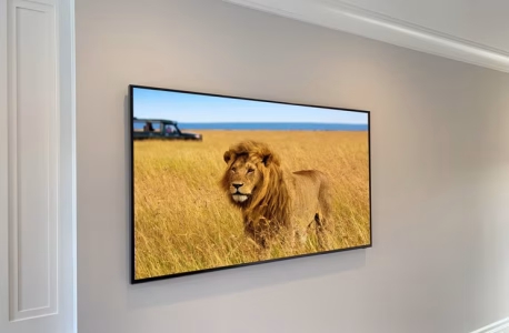 A wall-mounted flat screen TV displays an image of a lion in tall grass with a safari vehicle in the background.